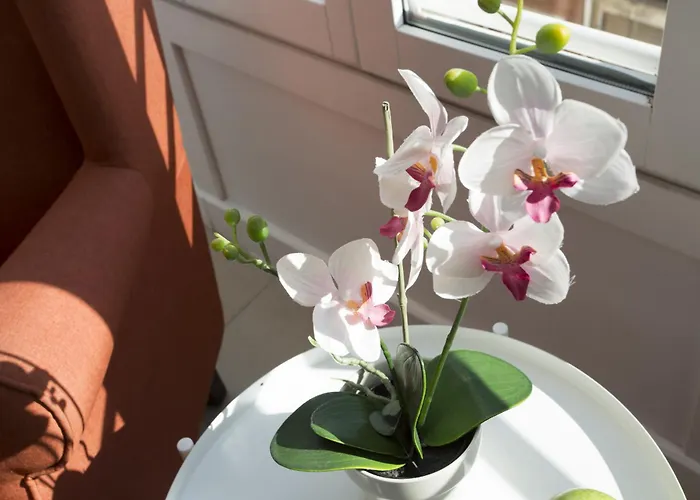 Daire Singularstays Mar44 Terrace